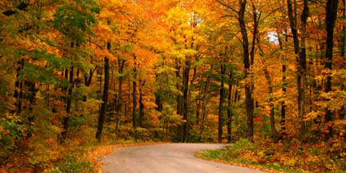 Fall Foliage in Rhode Island