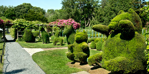 Green Animals Topiary Garden - Portsmouth RI - Photo Credit Preservation Society of Newport County