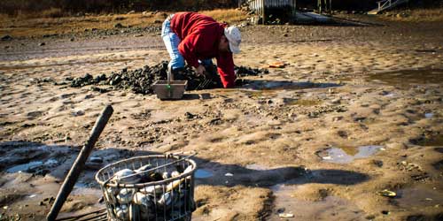 Clamming and Shellfishing in Rhode Island - Photo Credit Shutterstock