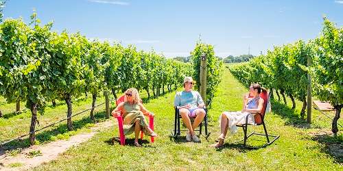 People in Vines - Newport Vineyards - Middletown, RI - Photo Credit Annabelle Henderson Photography