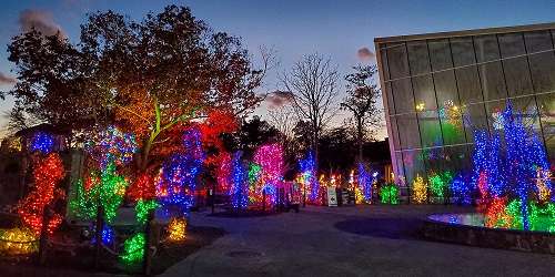 Holiday Lights Rainforest - Roger Williams Park Zoo - Providence, RI