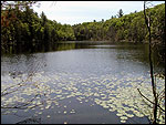 Fort Nature Refuge -- Audubon Society of Rhode Island