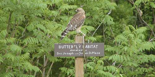 Powder Mill Ledges Wildlife Refuge - Smithfield, RI - Photo Credit Audubon Society of Rhode Island