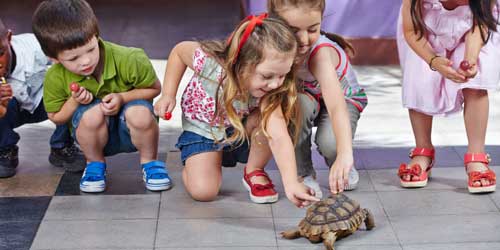 Kids with Turtle Roger Williams Park Zoo Providence Rhode Island