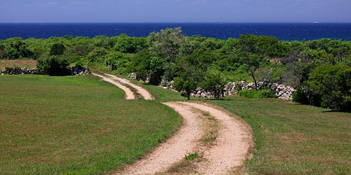 Maze and Clayhead Preserve off Corn Neck Road - Block Island, RI