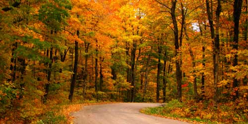 Fall Foliage in Rhode Island 2024