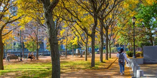 Fall Foliage in Rhode Island - Goddard Park in Warwick & East Greenwich