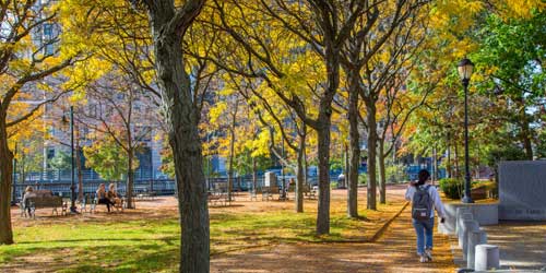 Fall Foliage in Rhode Island - Goddard Park in Warwick & East Greenwich