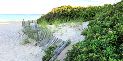 Mansion_Beach_Block_Island-credit--RI-Commerce-Corp (2)