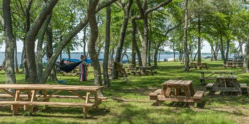 Picnic Area - Colt State Park - Bristol, RI - Photo Credit RI Division of Parks