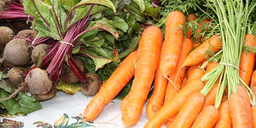 Farmers Markets in Rhode Island