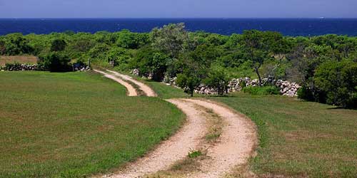Rodman Hollow  trail on Block Island-credit-credit-RI Commerce Corp