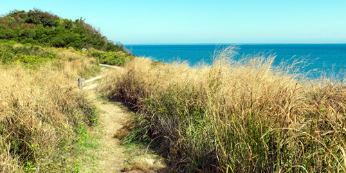 clay head preserve block island ri