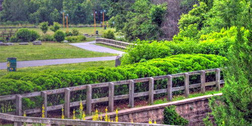 fred lippett woonasquatucket river bikeway