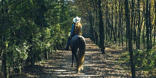 Equestrian Trail - The Preserve Club & Residences - Richmond, RI