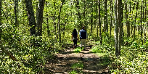 Walking Paths - The Preserve Club & Residences - Richmond, RI