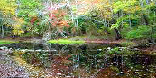 kettle pond charlestown