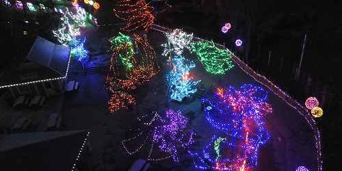 Holiday Lights Spectacular - Roger Williams Park Zoo - Providence, RI