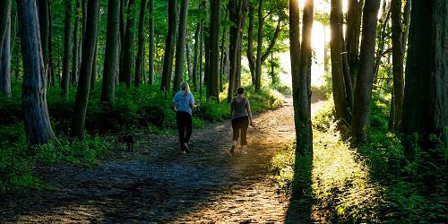 Hiking Trail - Goddard Memorial State Park - Warwick, RI - Photo Credit George Ford