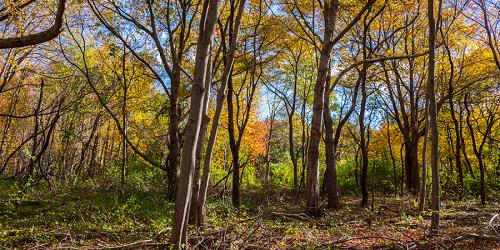 Hiking - Beavertail State Park - Jamestown, RI - Photo Credit RI Division of Parks