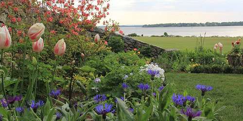 Blithewold Mansion, Gardens & Arboretum - Bristol, RI