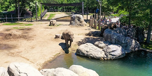 Elephant Habitat - Roger Williams Park Zoo - Providence, RI