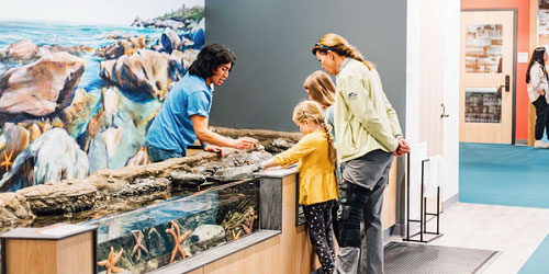 New Aquarium Touchtank - Save The Bay RI