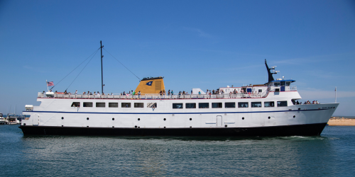 Charters & Cruises